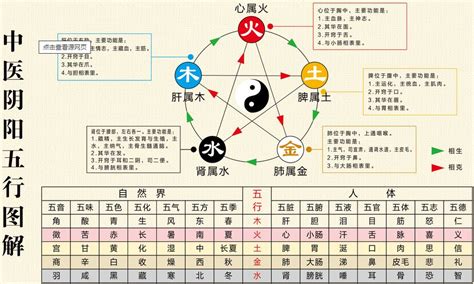 五行木代表|探秘五行学说：木元素的意象与独特属性